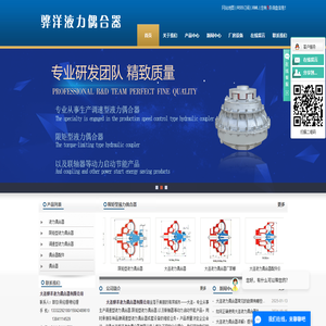 大连骅洋液力偶合器有限公司
