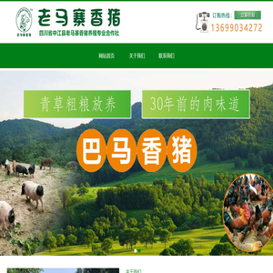 巴马香猪