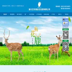 湖北养鹿场,湖北养鹿基地,湖北休闲渡假村