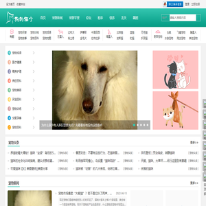 宠物喂养护理训练医疗健康