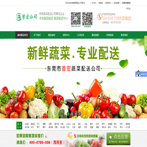 蔬菜配送公司