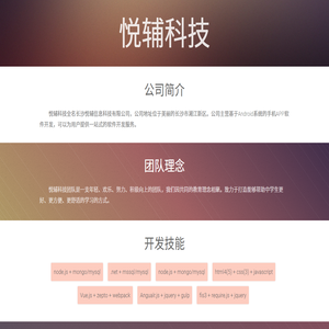 悦辅科技