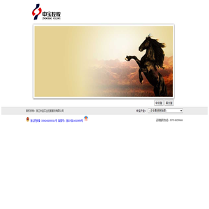 浙江中宝实业控股股份有限公司