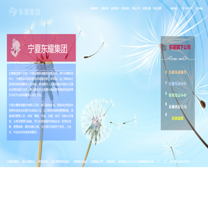 东耀集团