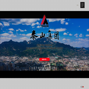 泰山集团股份有限公司