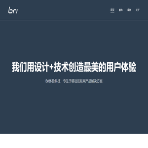 Bri体验科技