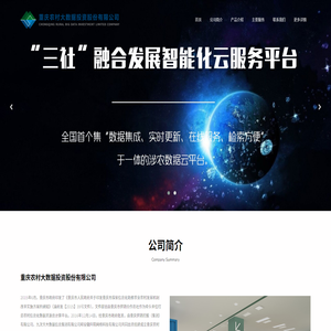 重庆农村大数据投资股份有限公司
