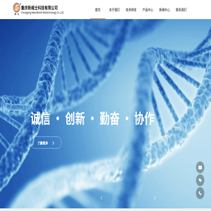 重庆新威士科技有限公司