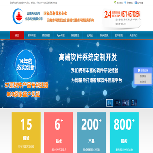 软件开发