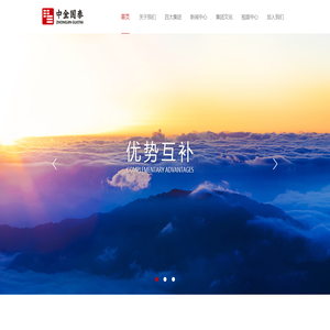 中金国泰实业