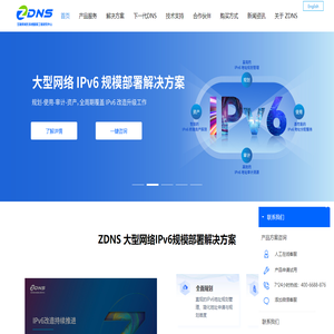 互联网域名系统国家工程研究中心（ZDNS）