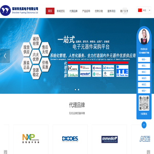 深圳市元英电子有限公司