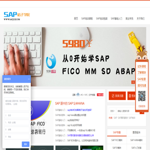 SAP培训