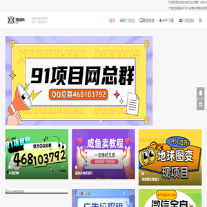 项目网