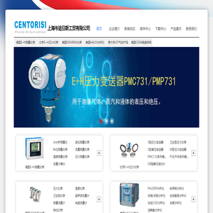 E+H液位计