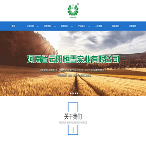 河南省云阳恒雪实业有限公司