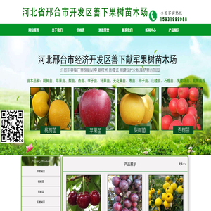 邢台经济开发区善下献军果树苗木场