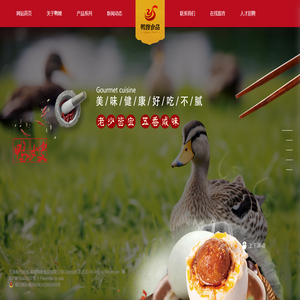 福建鸭嫂食品有限公司