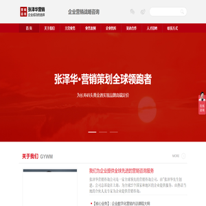 全球领先的营销咨询公司