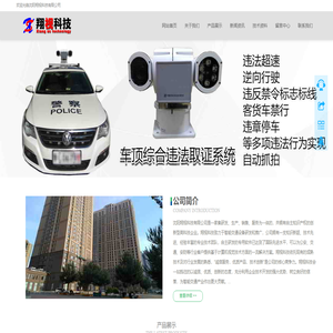 沈阳翔视科技有限公司