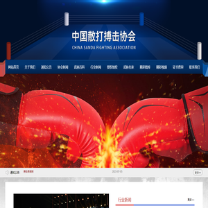 中国散打搏击协会
