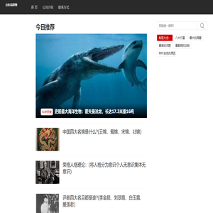 点析品牌网