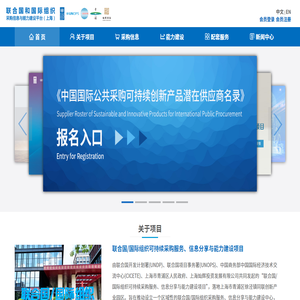 联合国/国际组织