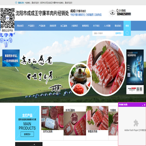 沈阳市沈河区成成王守廉羊肉片经销处