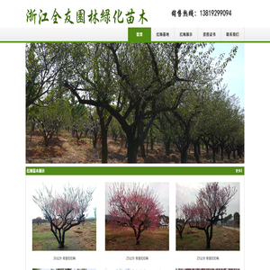 浙江红梅批发供应商