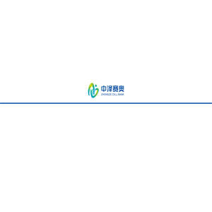 中泽赛奥