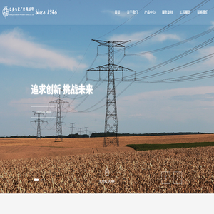 上海电瓷厂有限公司