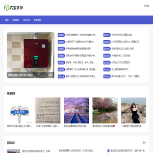 大宝文章网
