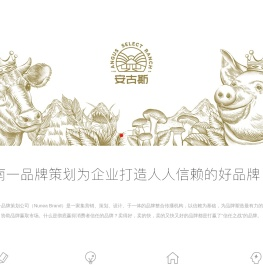 南一品牌策划