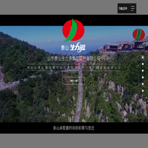 山东泰山生力源集团股份有限公司