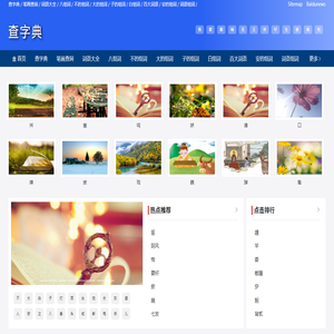 查字典