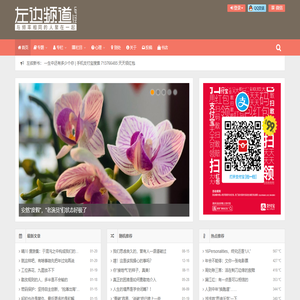 左边频道