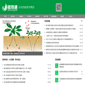 植物通