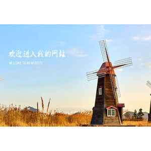 佳新世家地板官网