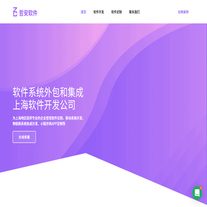 上海软件开发公司