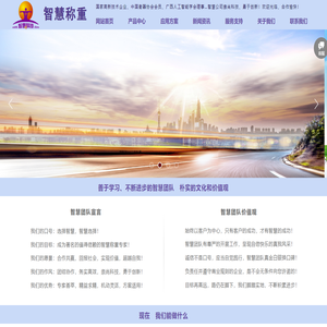 广西智慧称重科技有限公司www.智慧称重.cn