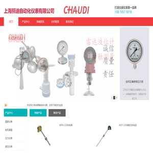 上海照迪自动化仪表有限公司