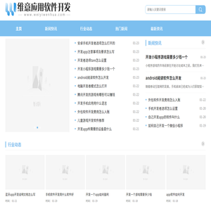 维意应用软件开发网
