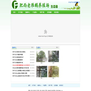 肥西老雁鹅