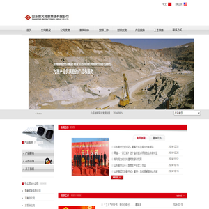山东耐火材料集团有限公司：山东耐材