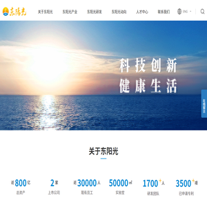 东阳光
