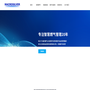 上海宏银信息科技股份有限公司