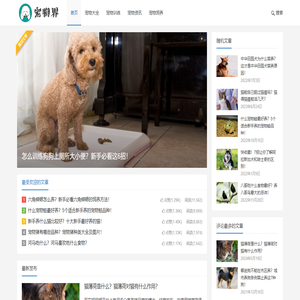 宠物界