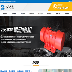 ZDS系列振动电机