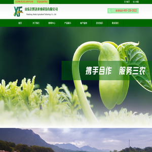 网站首页
