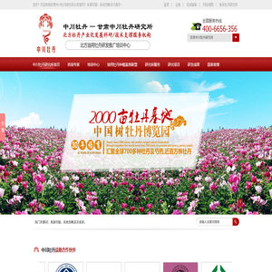 牡丹籽油